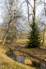 Obraz premium Scenic River In Public Park During Springtime