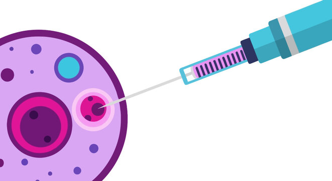IVF In Vitro Fertilization Concept: Micro-needle Injection into Cell for ICSI and Genetic Engineering