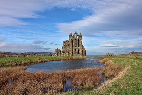 Historic ruins of Whitby Abbey, Whitby, North Yorkshire; anicient Benedictine monastery with gothic architecture, famous ruins on clifftops above Whitby, England, UK