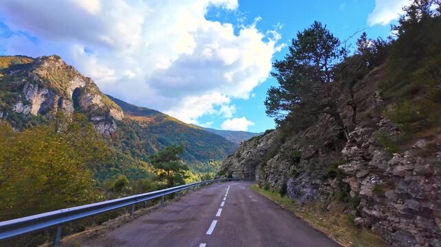 Driving through the Selva de Oza forest in Valley of Hecho, green broad-leaf and coniferous mixed forest. Occidental Valleys Natural Park, Aragonese Pyrenees, Huesca Province, Spain