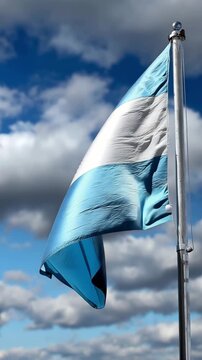 Argentina flag waving in the wind against a bright blue sky, vertical video featuring vibrant national colors, patriotic atmosphere and realistic fabric movement