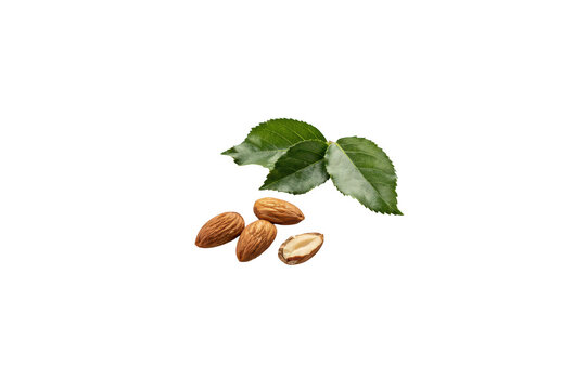 Three brown almonds with green leaves on a transparent background, raw organic nuts for healthy nutrition and cooking ingredient concepts