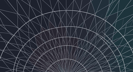 Obraz premium Intricate radial web of thin white lines forming a semi-circular geometric network against a dark background for futuristic concepts.