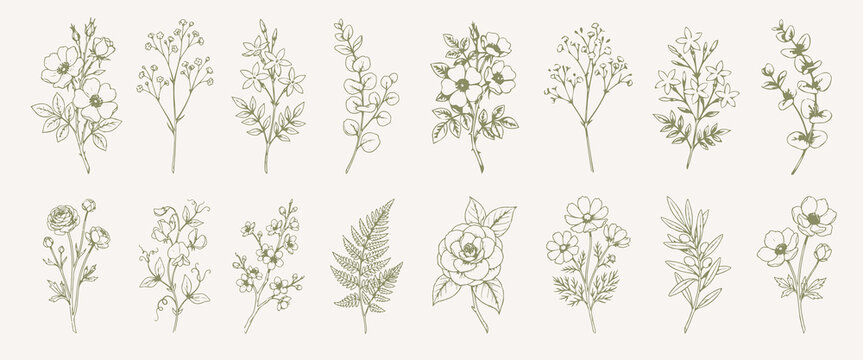 Detailed various flowers and foliage, in hand drawn style, vector set
