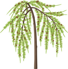 Stylized Weeping Tree Illustration with Cascading Foliage and Texture for Botanical Gardens and Nature Landscape Design © MstAnjuAra
