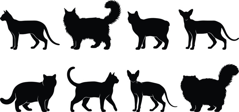 Set of black cat silhouette vector illustrations featuring various feline breeds standing and walking