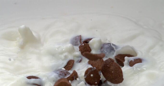 Chocolate corn flakes falling into milk with splash in super slow motion 1000 fps