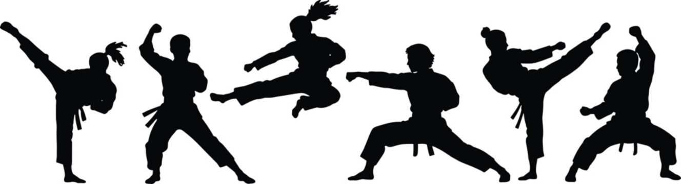 Martial Arts Silhouette Collection with Karate and Taekwondo Action Poses
