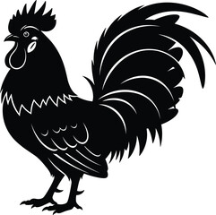 Detailed black silhouette of a farm rooster cockerel isolated on a white background for graphic design © boishakhisarker