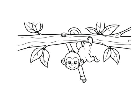 Monkey hanging upside down from tree branch