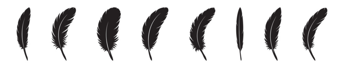 Set of bird feather silhouettes. Vintage quill and fluffy feather vector icons collection isolated on white background © MD