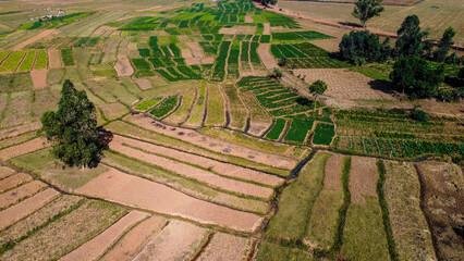 Aerial shot of lush green landscape © Terver