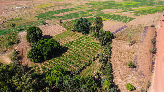 Scenic aerial view of lush green farm landscape 