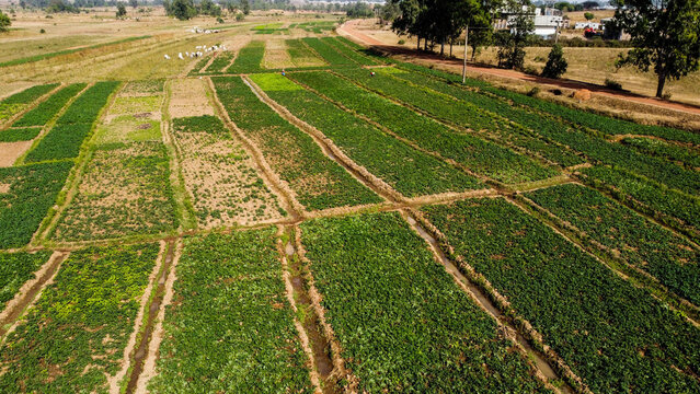 Scenic aerial view of lush green farm landscape 