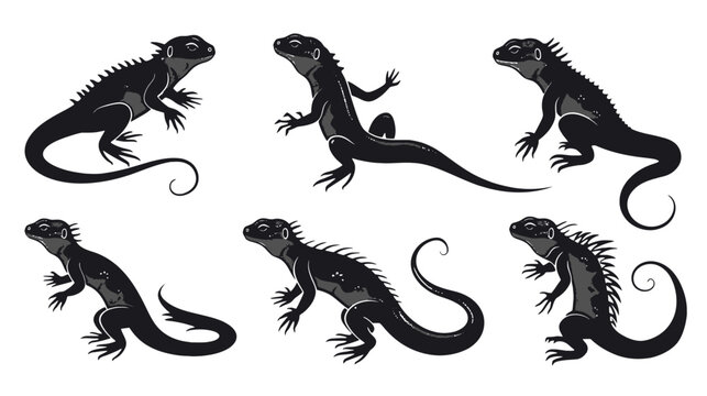 Black iguana silhouette vector set, 6 lizard reptile illustrations, exotic tropical animal icons for wildlife branding and nature design