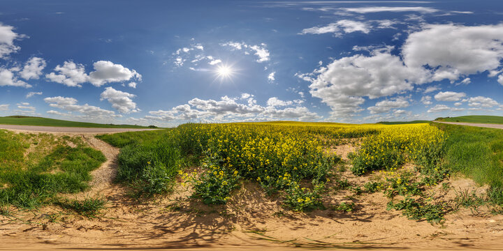 hdri 360 panorama near asphalt road and rapeseed fields in equirectangular full seamless spherical projection, for VR AR virtual reality content