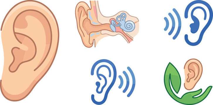 Human Ear Anatomy and Hearing Care Icon Set with Sound Waves and Leaf Elements for Medical, Audiology, and Health Graphics