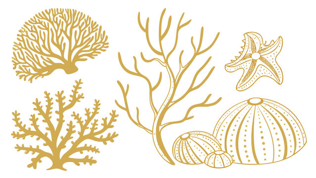 Set of hand drawn marine life elements including corals, starfish and sea urchins