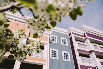Modern gray and white apartment building with balconies and windows © Roxana