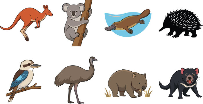 Set of Australian Animals Vector Icons and Indigenous Australia Wildlife Cartoon Characters