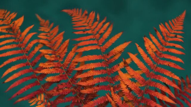 Vibrant orange autumn ferns on dark teal background