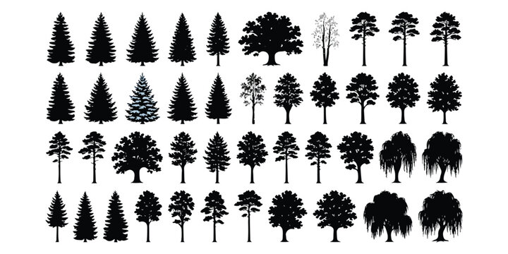 Black tree silhouettes collection including pine and deciduous trees