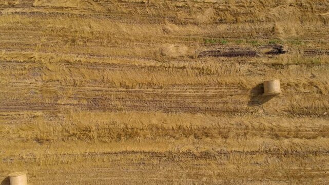 Drone footage captures a top down view of a vast, golden yellow harvested field with tire tracks and two round hay bales on a sunny day in the Lithuanian countryside