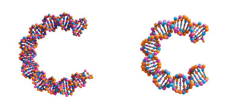 3d render of dna strands shaped like the letter c isolated on transparent background