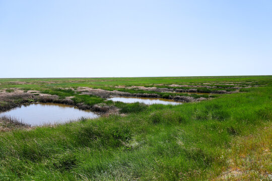 A scenic coastal view from the elevated Trischendamm protection dike looking down onto the vast green salt marshes and tidal wetlands in Friedrichskoog, Schleswig-Holstein, Germany.