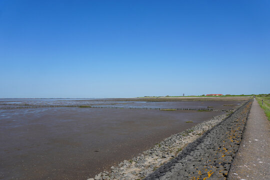Looking back from the Trischendamm pathway towards the green dikes, coastline and houses of Friedrichskoog, Germany, surrounded by green salt marshes and coastal wetlands