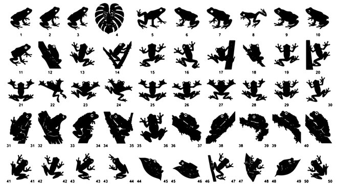 Black frog silhouette collection, 50 tropical amphibian icons, exotic jungle tree frog vector set, wildlife nature design elements