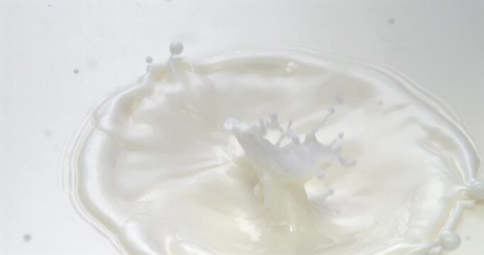 Raspberry falling into milk or cream with splash in super slow motion 1000 fps