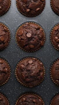 Double chocolate muffins with chocolate chips in baking tray. Dessert food photography. Homemade bakery, pastry and recipe concept. Top view close-up shot.