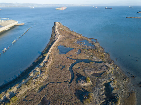Heron's Head Park wetlands and walking path extending into San Francisco Bay, with cargo ships navigating the waters under a clear sky