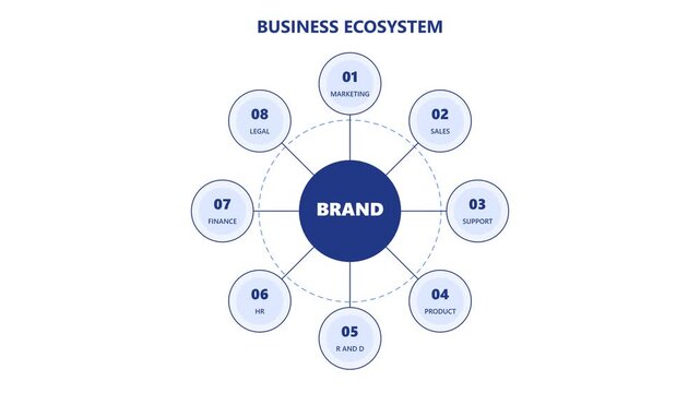 Business ecosystem infographic diagram with brand centralization and corporate departments corporate structure