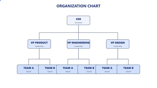 Corporate organization chart diagram: executive leadership and team structure hierarchy corporate structure