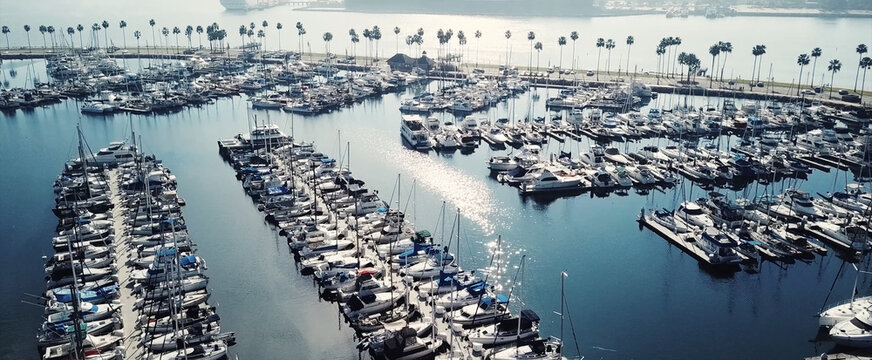 Aerial view of a marina filled with numerous yachts and sailboats docked in rows, with palm trees lining the waterfront and calm blue water in Los Angeles, California, United States.