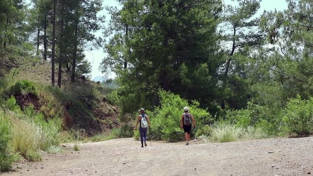 Women hiking on forest trail with backpacks and poles
