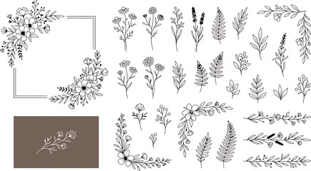 Set of hand drawn floral elements, botanical collection of flowers, leaves, branches and wreaths for wedding invitations and greeting cards © SampaRani