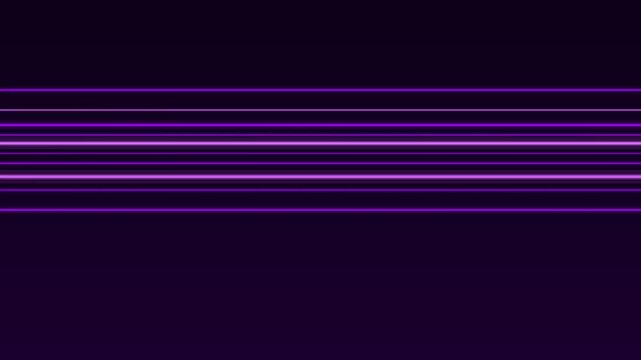 Neon Purple Neon Horizon Lines Miami Vice Lines Animation