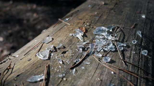 Sharp broken glass shards scattered across an old wooden log covered with pine needles. Concept of environmental pollution, forest littering, dangerous vandalism, and neglect.