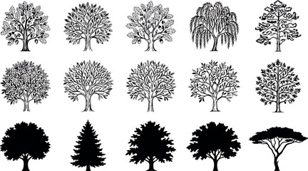 Set of various trees, hand drawn sketch and silhouette icons © SampaRani