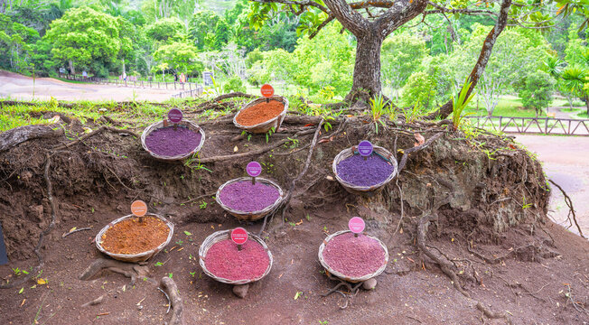 Seven Colored Earth Geological Formation Samples in Chamarel, Mauritius