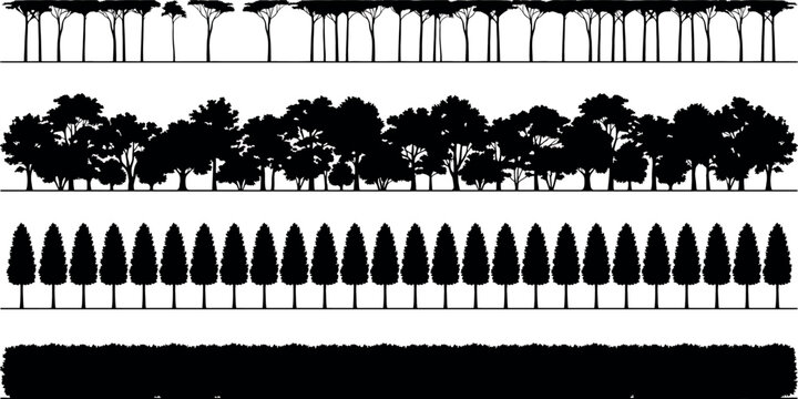 Set of tree silhouettes, forest borders, pine trees, deciduous trees and hedge isolated on white background