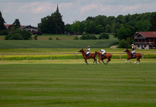 Polo Tournament