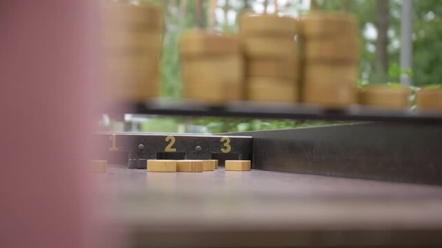 hand sliding wooden pucks down a traditional Dutch shuffleboard game known as Sjoelen on an outdoor table.