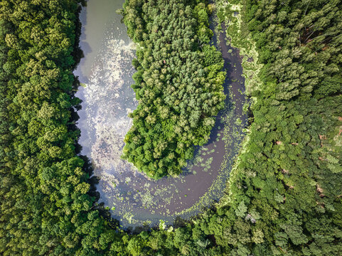 Small river and forests. Aerial view of wildlife in Poland