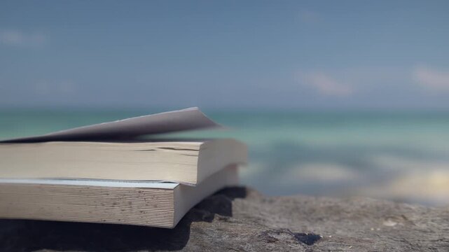 Stack of Books Resting on Driftwood by the Sea, Creating a Peaceful Beach Reading Scene with Coffee, Coastal Relaxation, Leisure, and a Tranquil Vacation Atmosphere