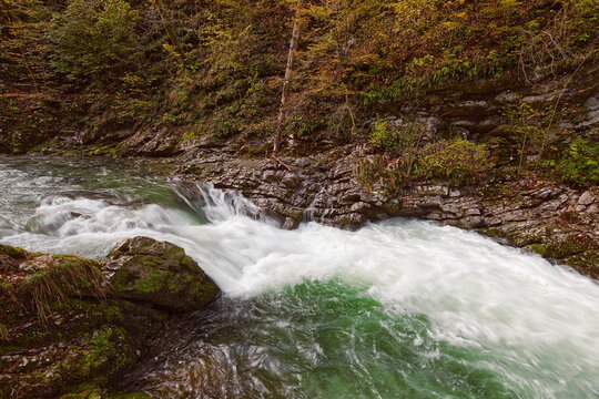 The Radovna river roaring green waters rush torrentially along the Soteska Vintgar (gorge), equipped with wood walkways and bridges. Bled-Slovenia-085
