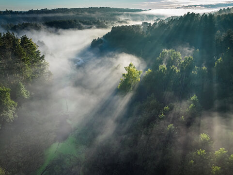 Misty forest in valley at sunrise in autumn.